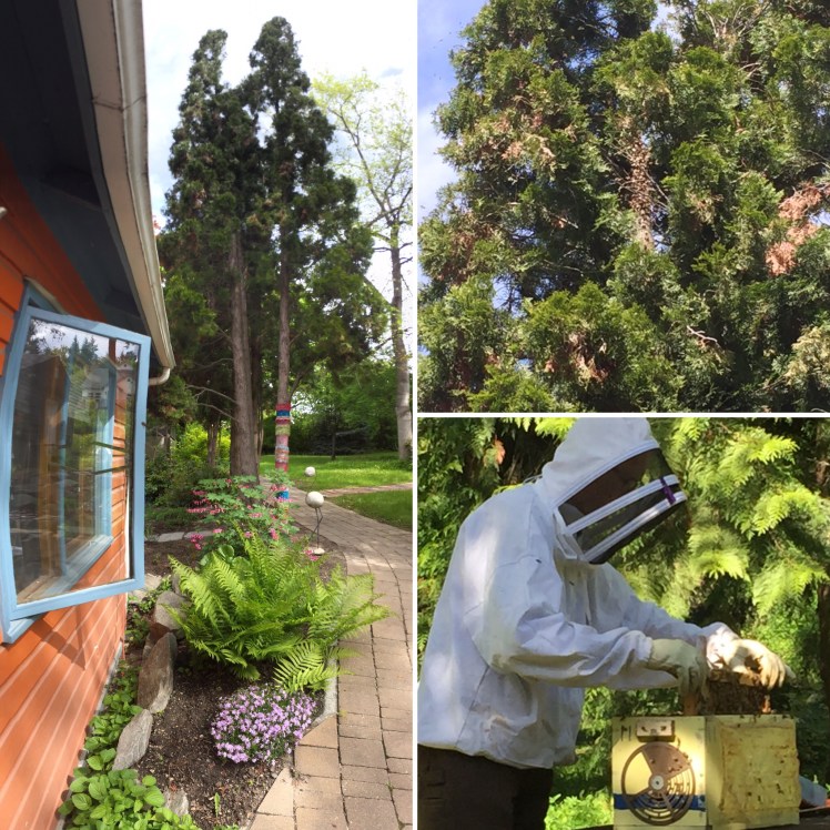 E2845ADE-75DB-4F16-9116-3FAF8CA53EDF